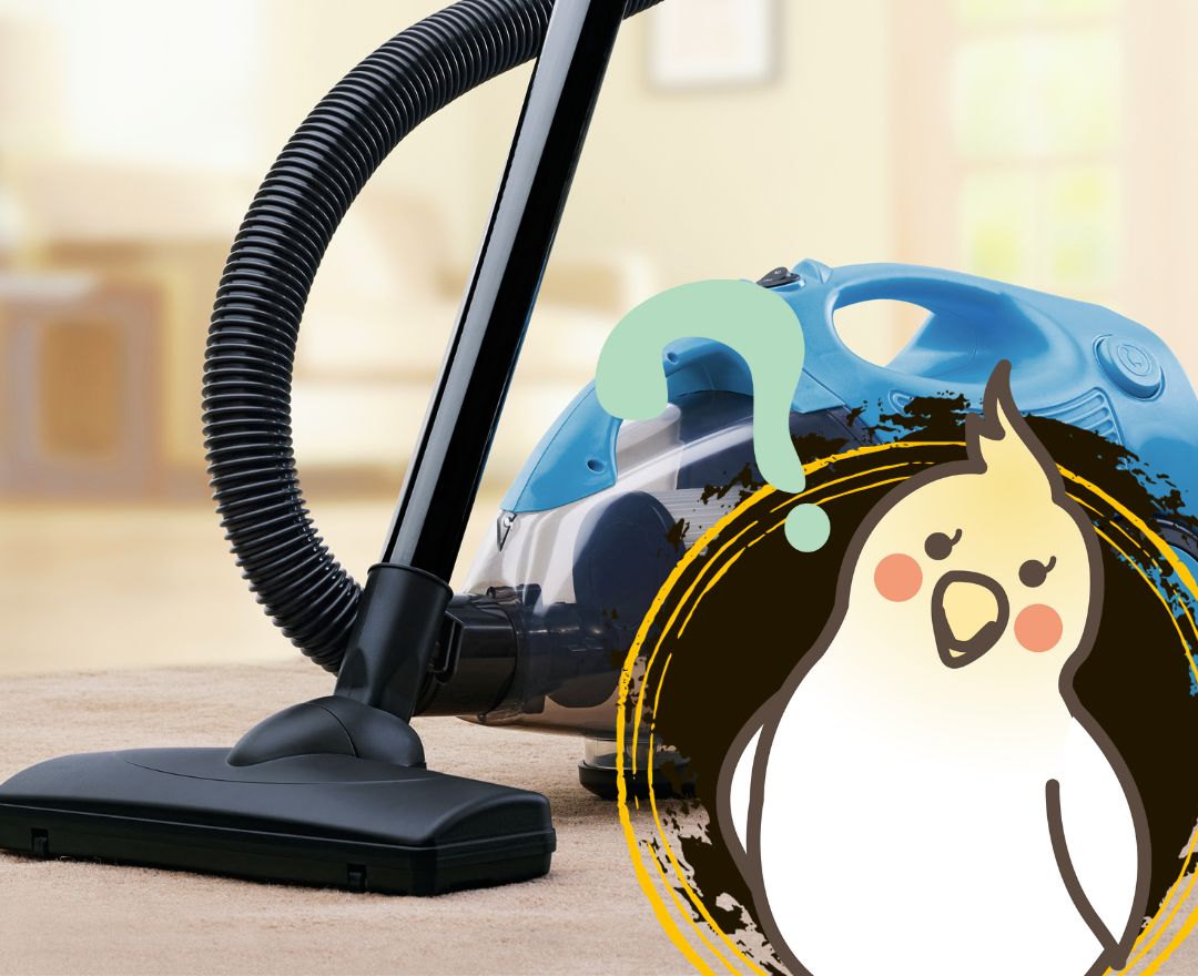 What is The Best Vacuum for Commercial Cleaning